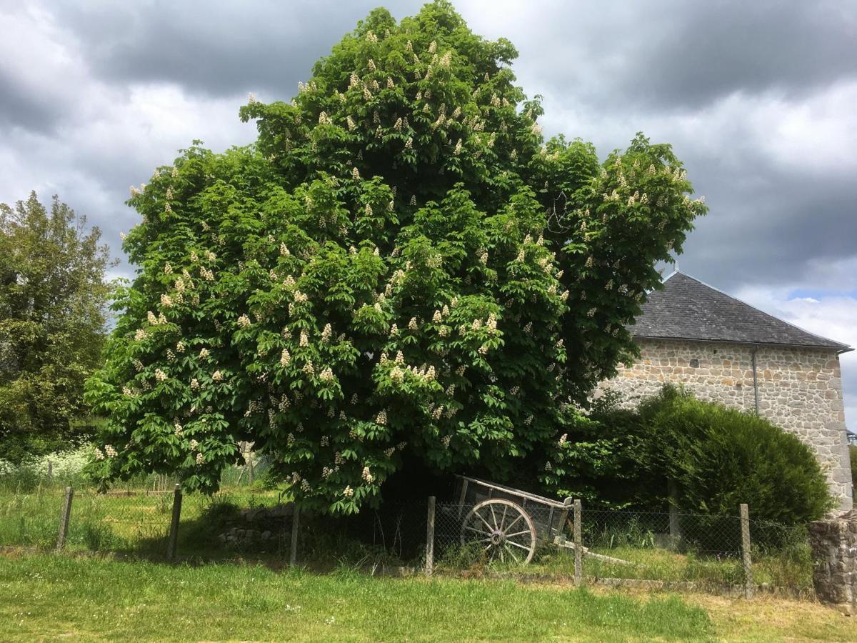 Les Pipistrelles 19 - Chambre D'Hotes Meymac Buitenkant foto